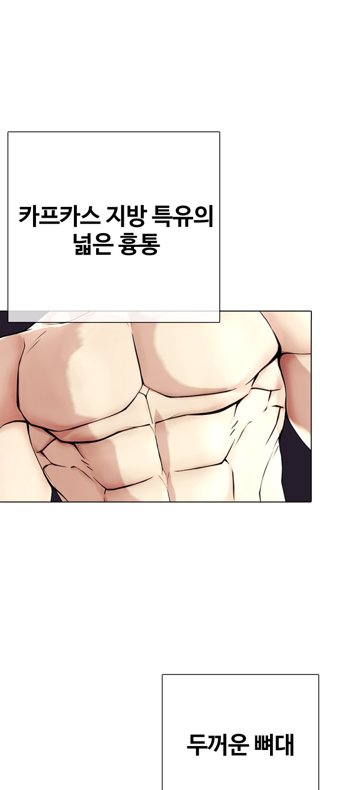43 페이지