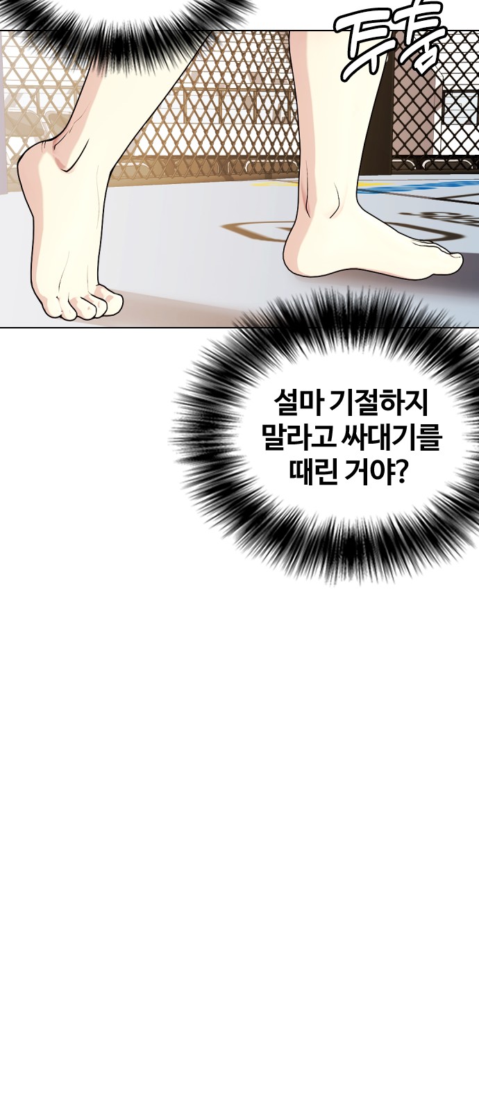 117 페이지