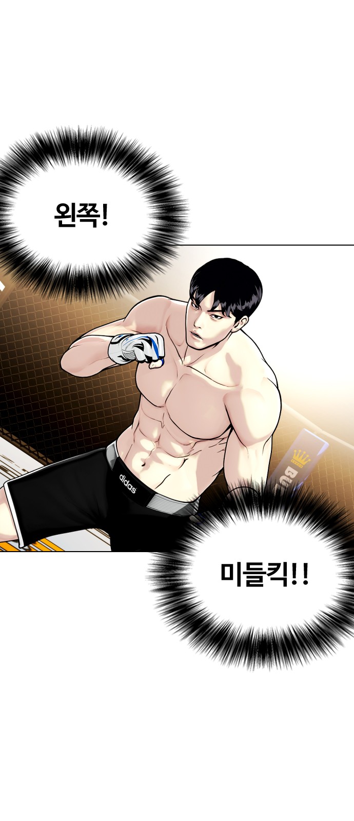 71 페이지