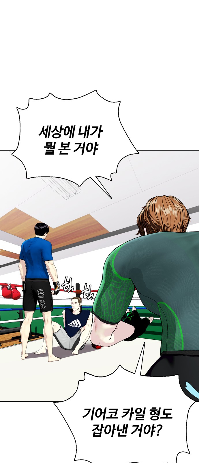 45 페이지