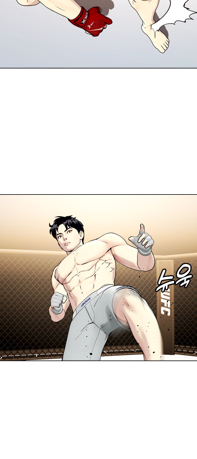 66 페이지