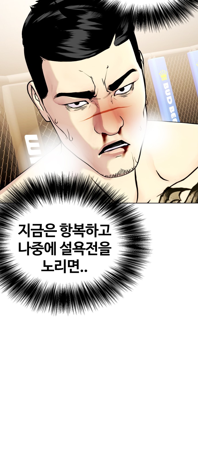 113 페이지