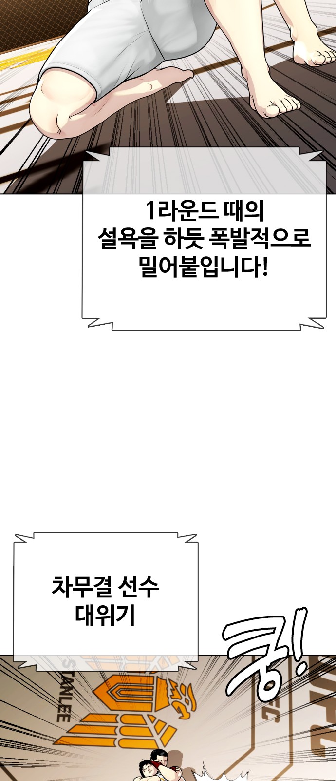52 페이지