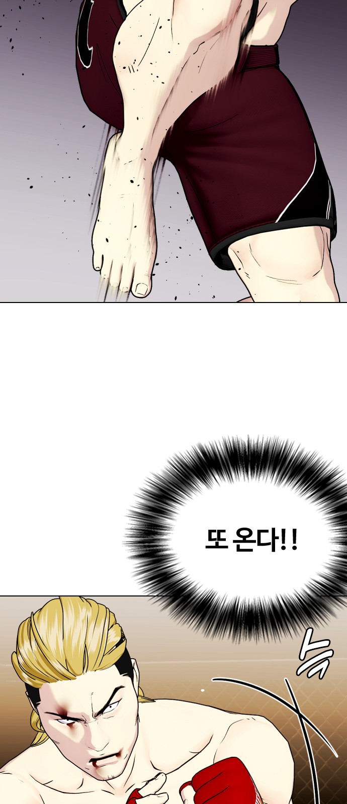 24 페이지