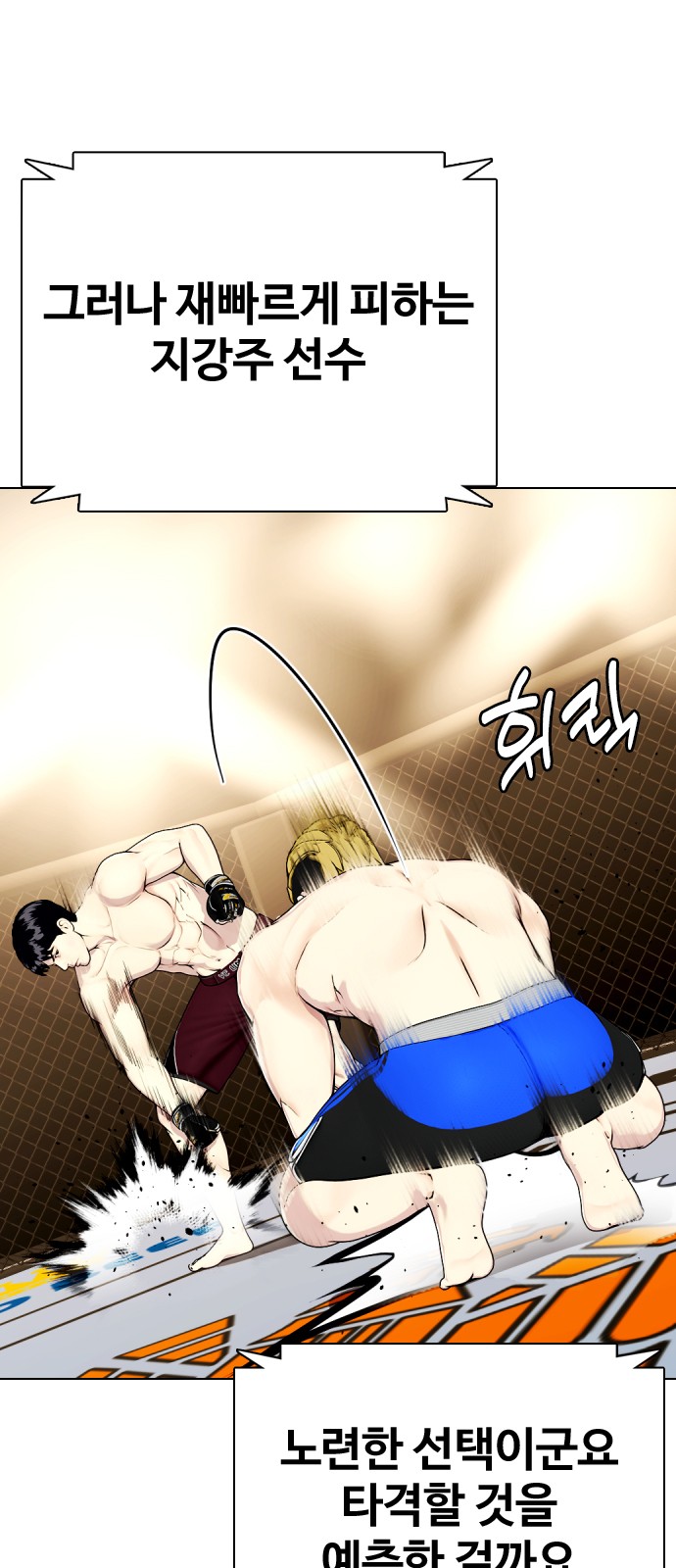 43 페이지