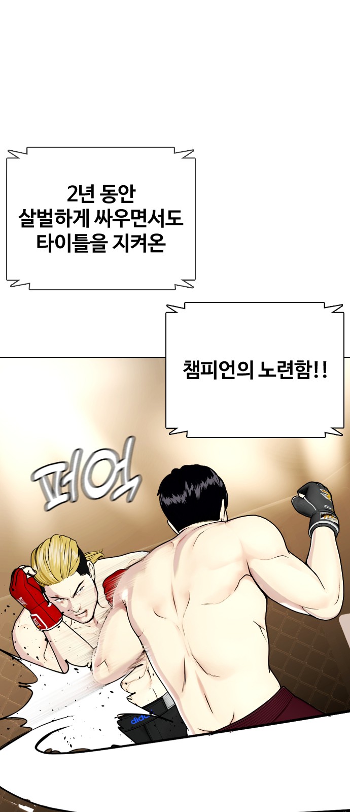 45 페이지