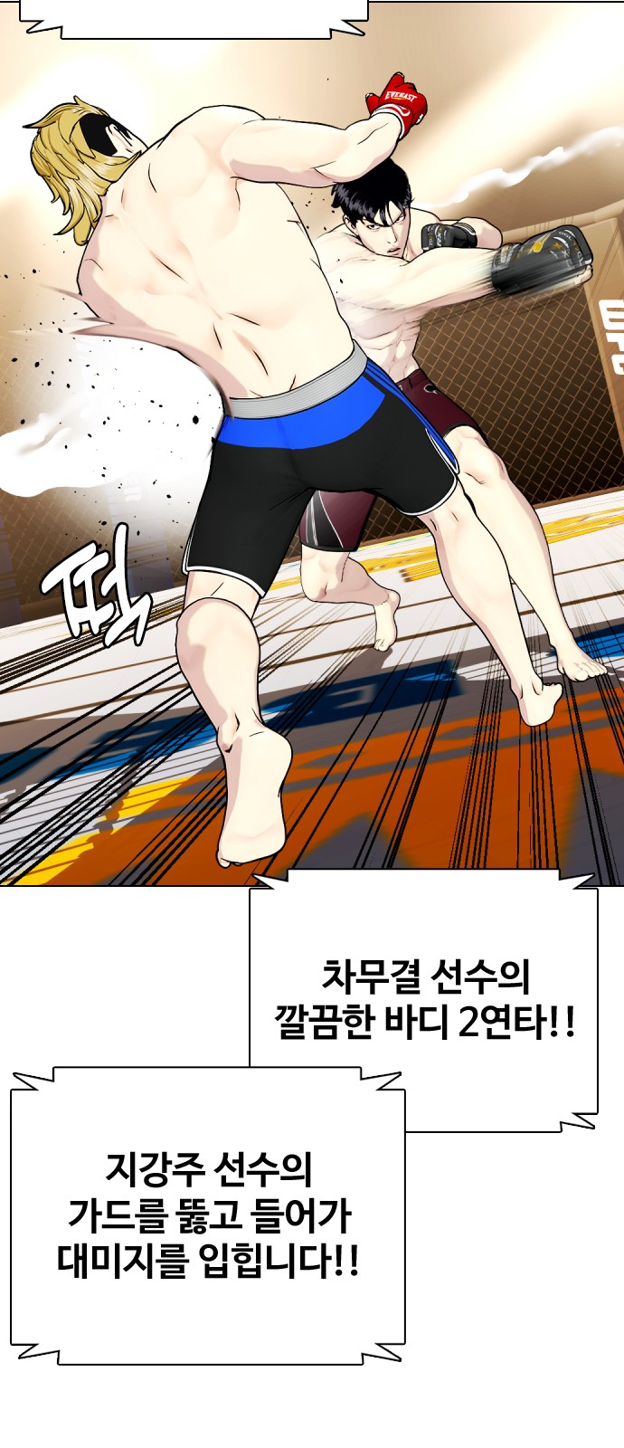 47 페이지