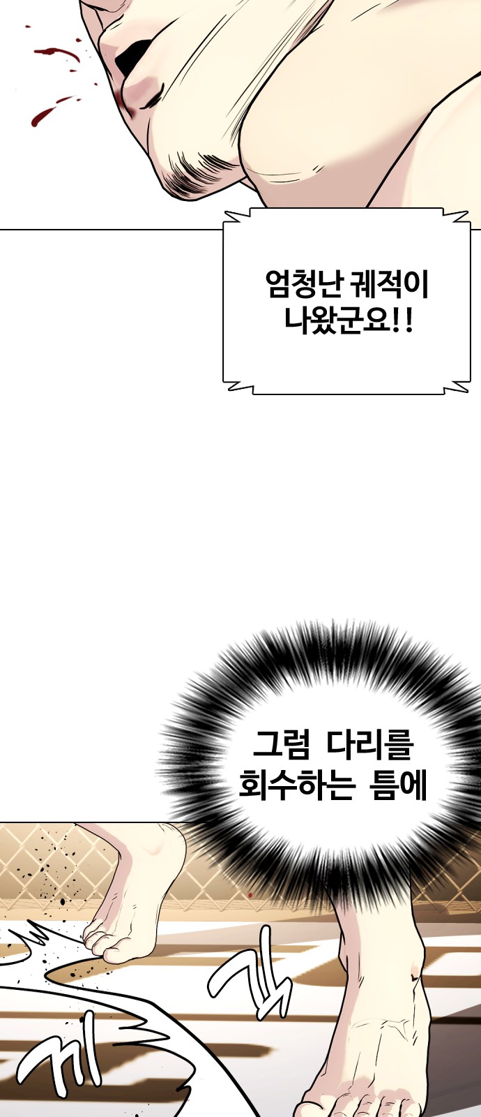 66 페이지