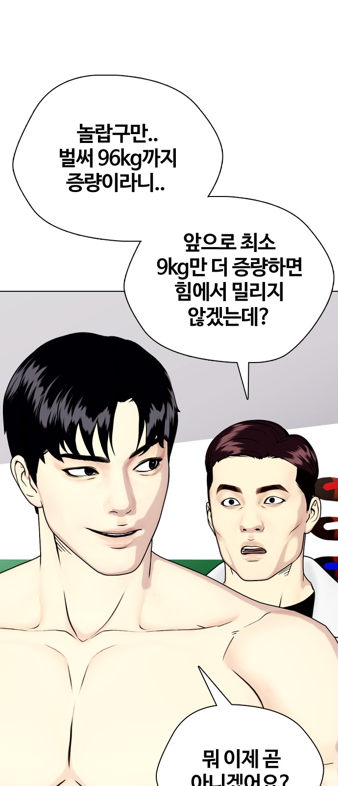 46 페이지