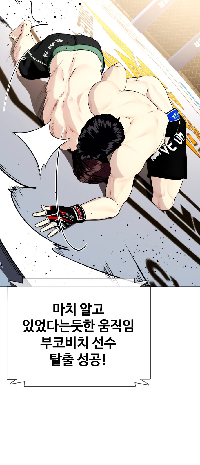 16 페이지
