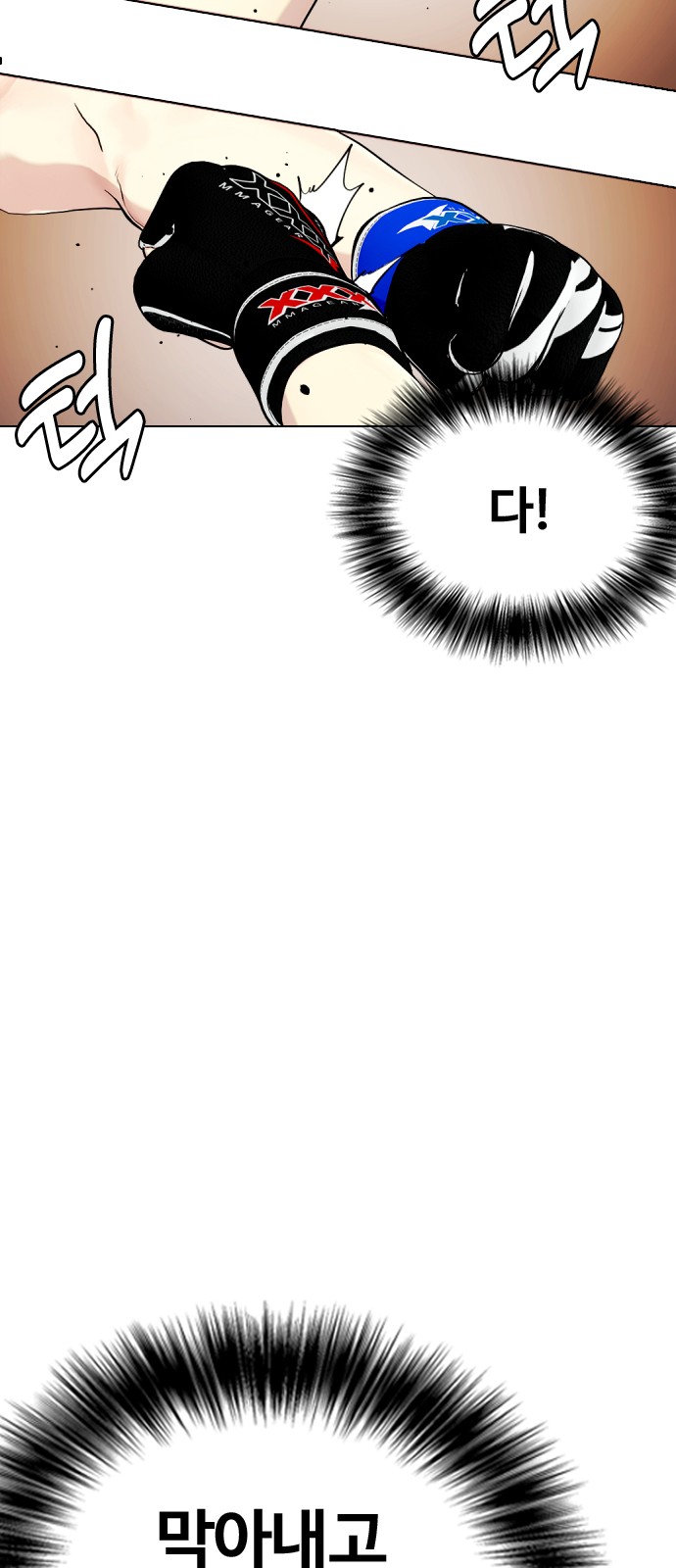 66 페이지