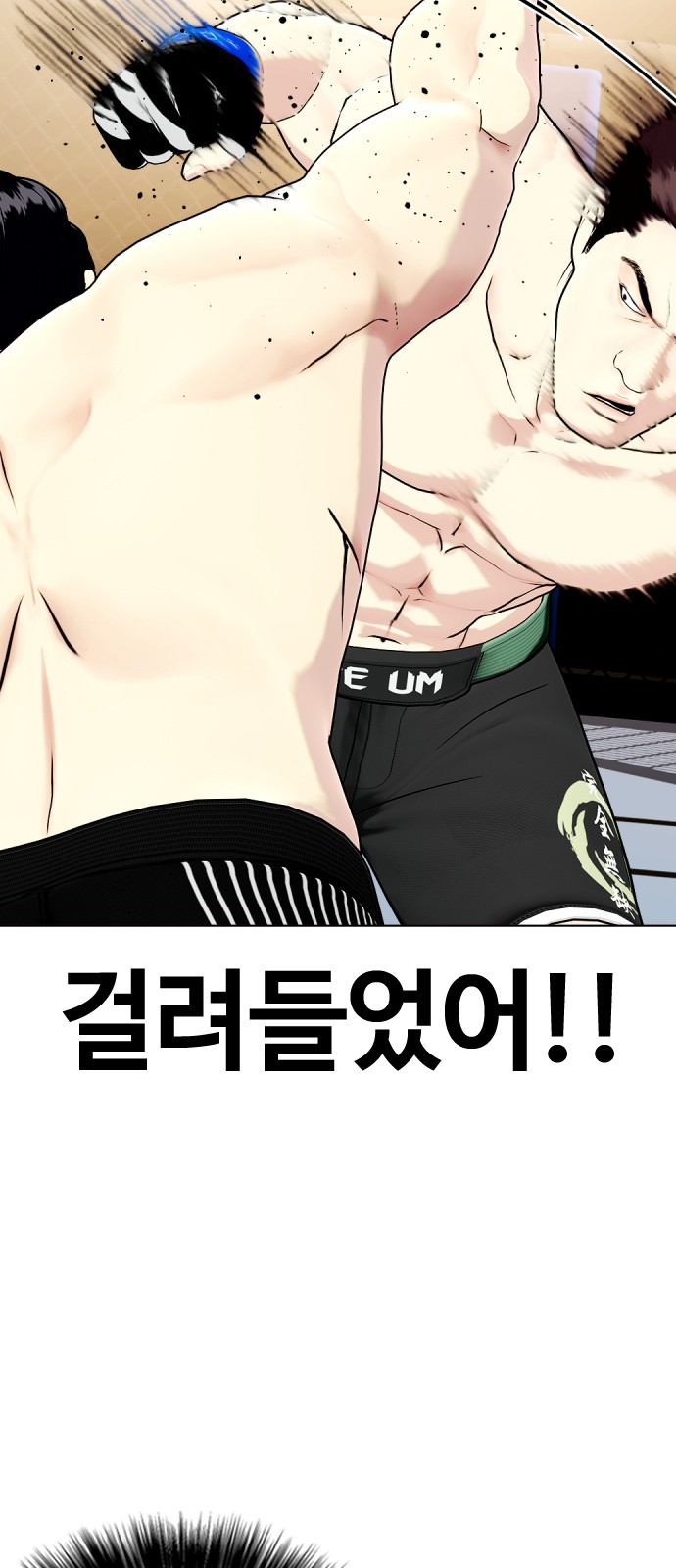 34 페이지