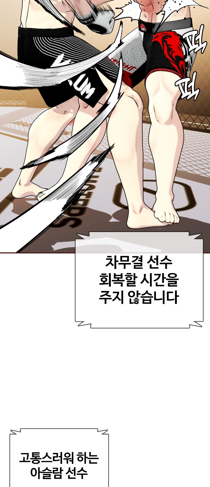 51 페이지