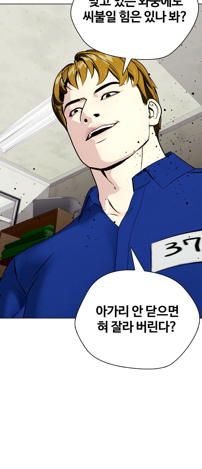113 페이지