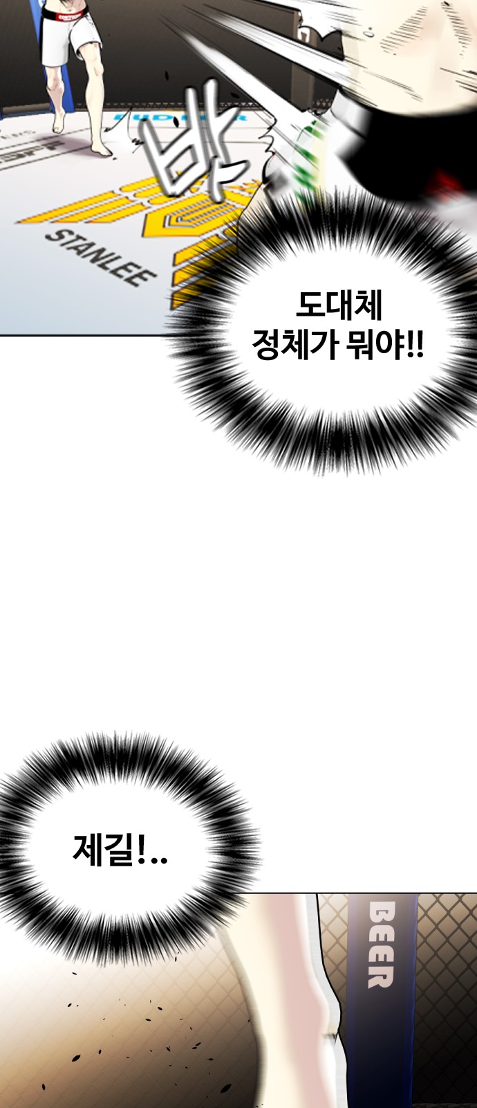 39 페이지