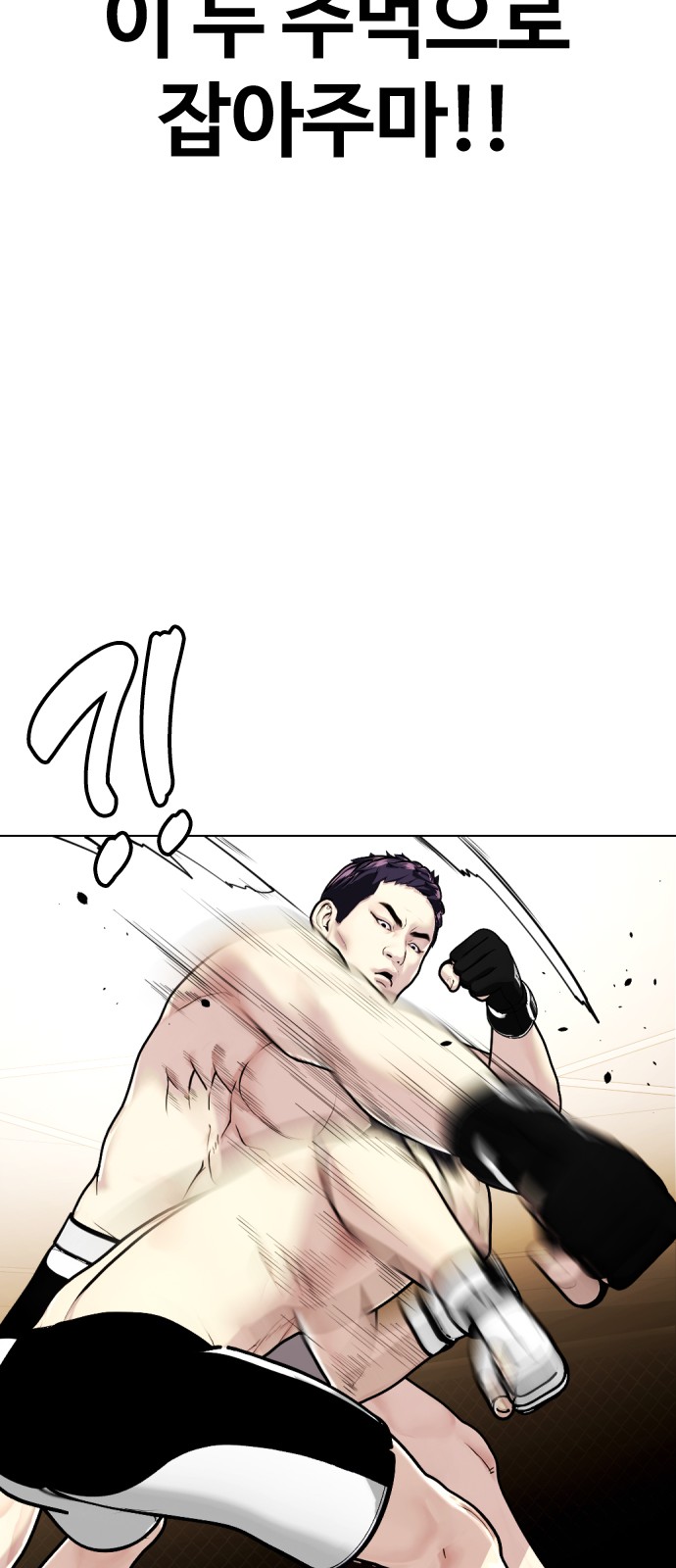 46 페이지