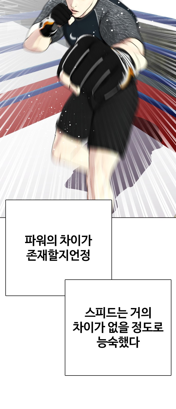 81 페이지