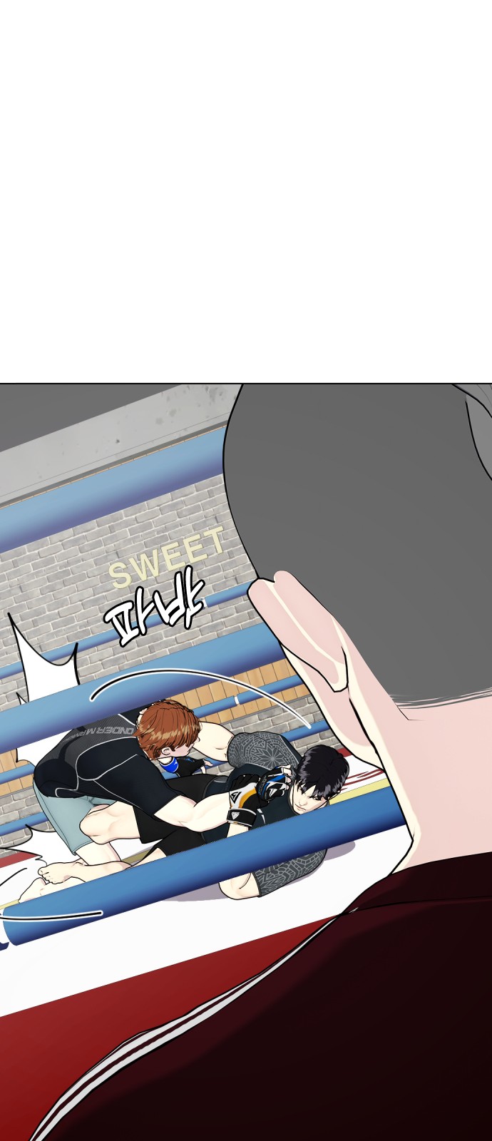 16 페이지