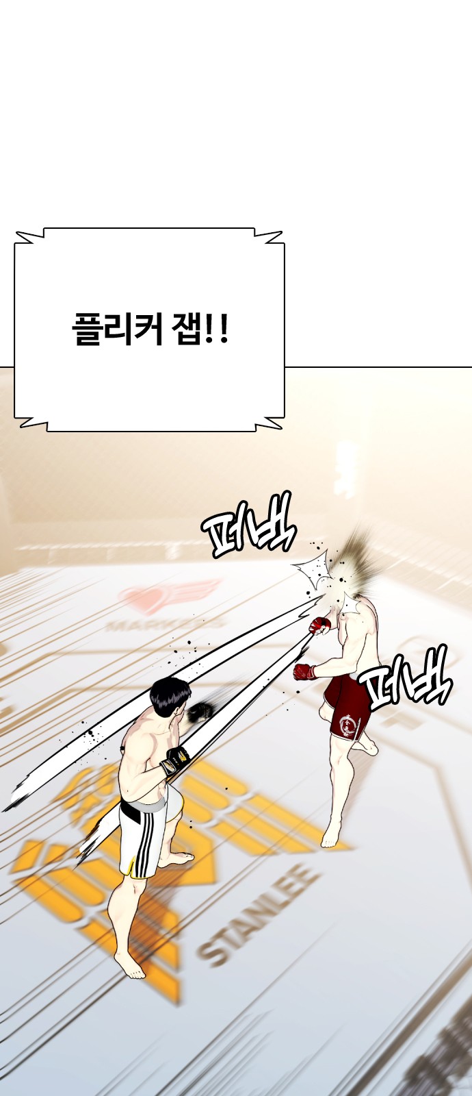 106 페이지