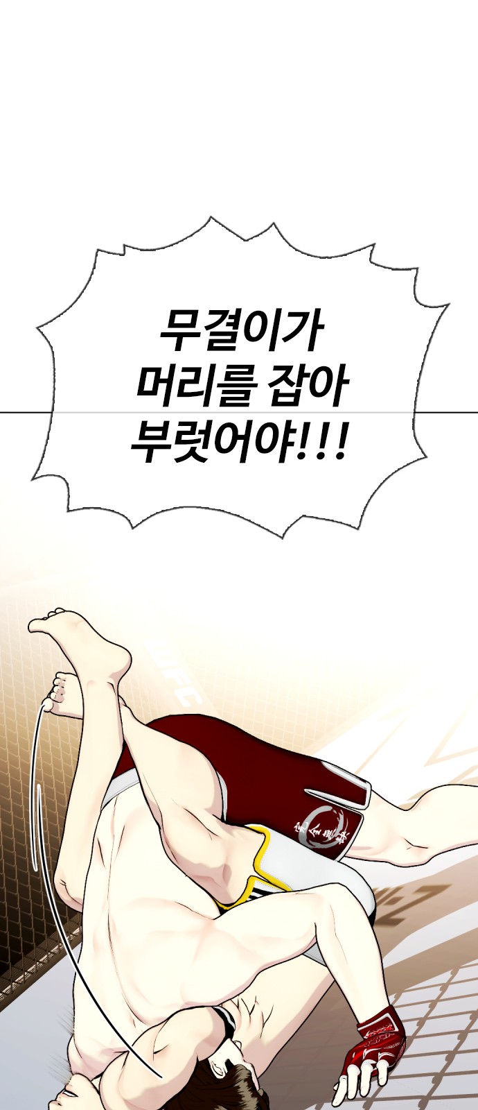 46 페이지