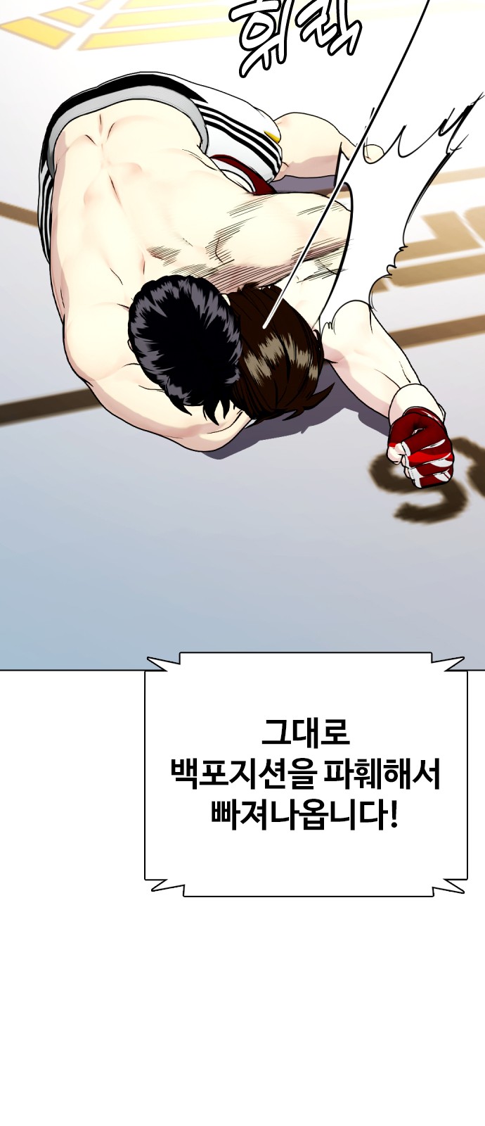 74 페이지