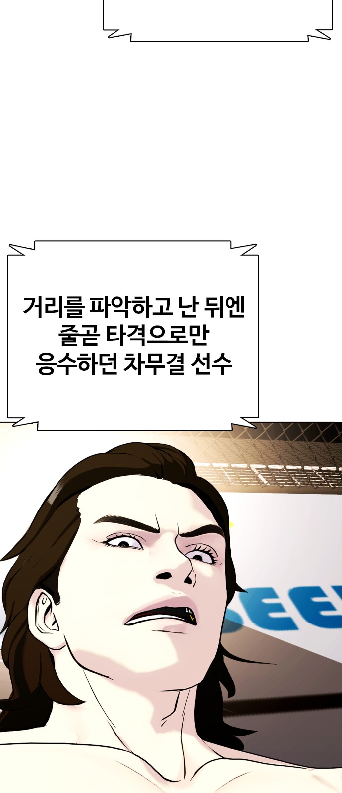 46 페이지