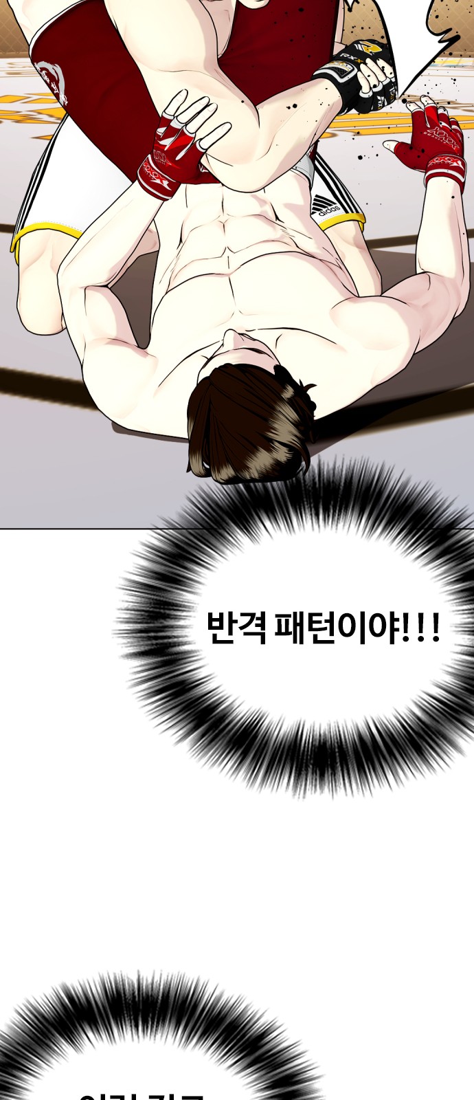 67 페이지