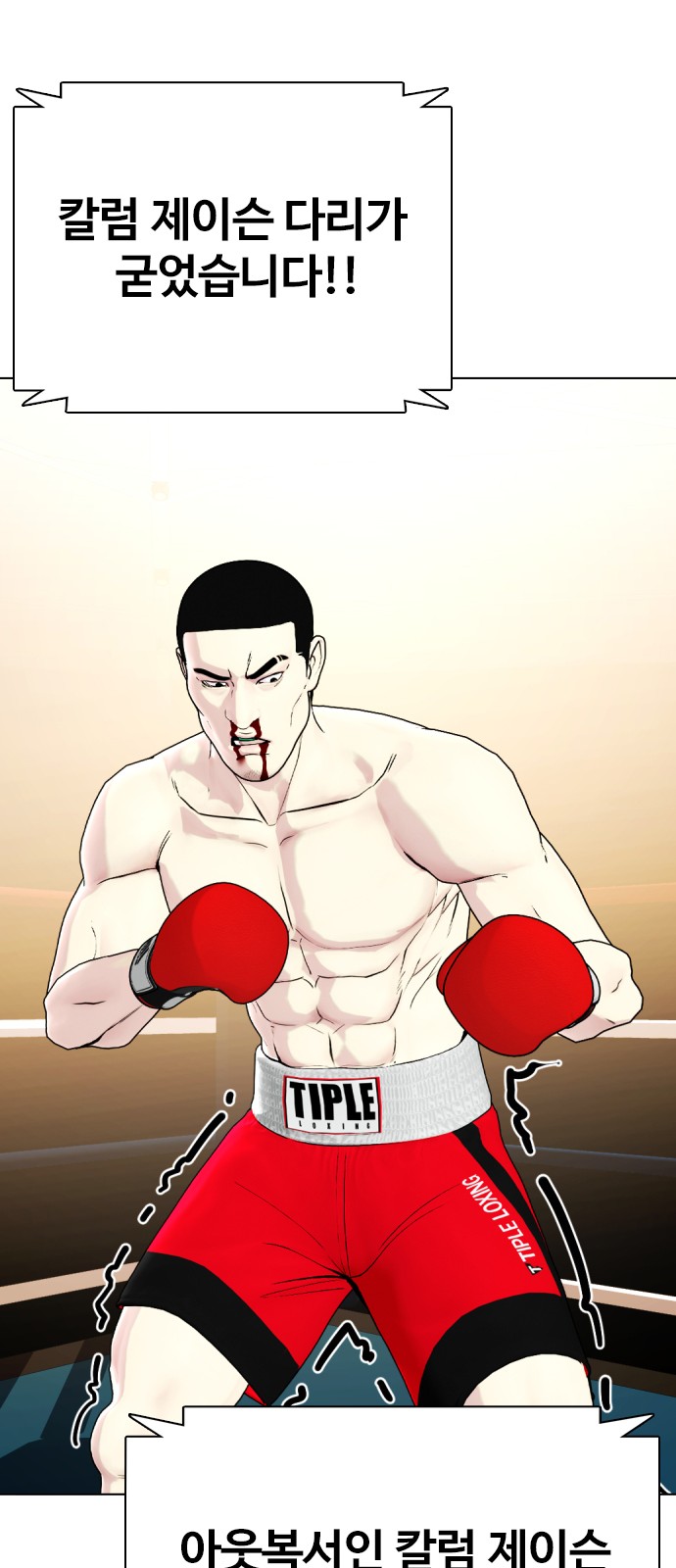 17 페이지