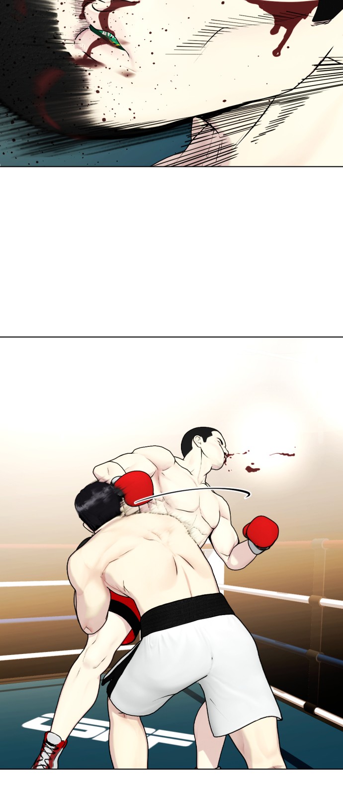 29 페이지