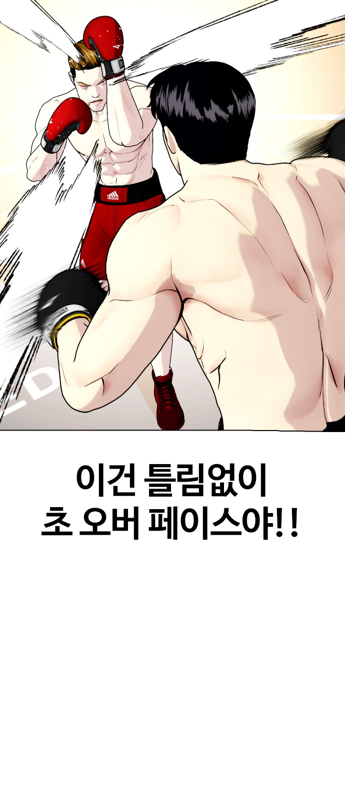 16 페이지