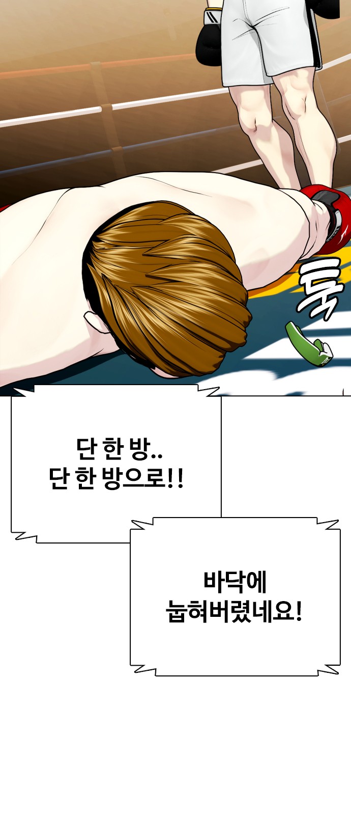 56 페이지