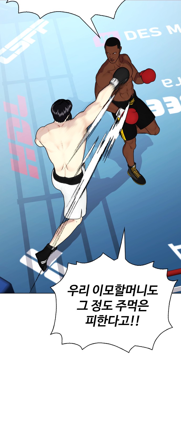 48 페이지