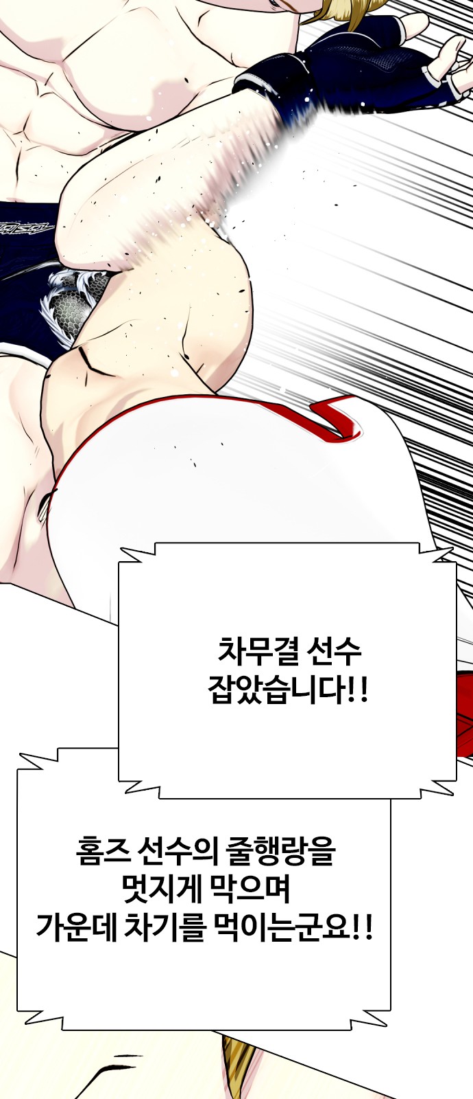 113 페이지