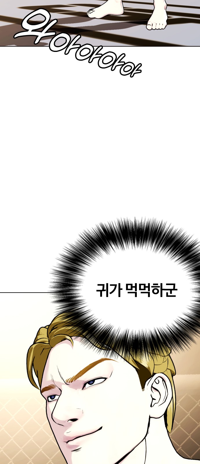 48 페이지
