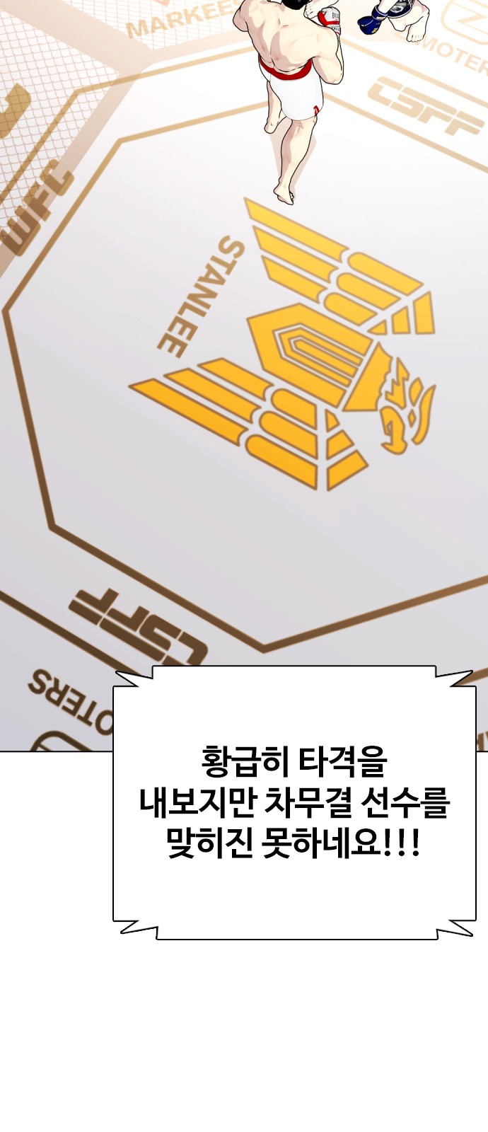 17 페이지
