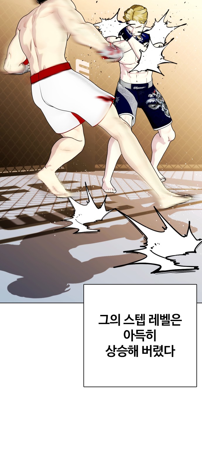 33 페이지