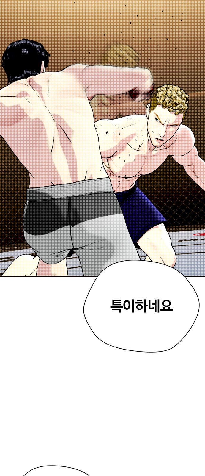117 페이지