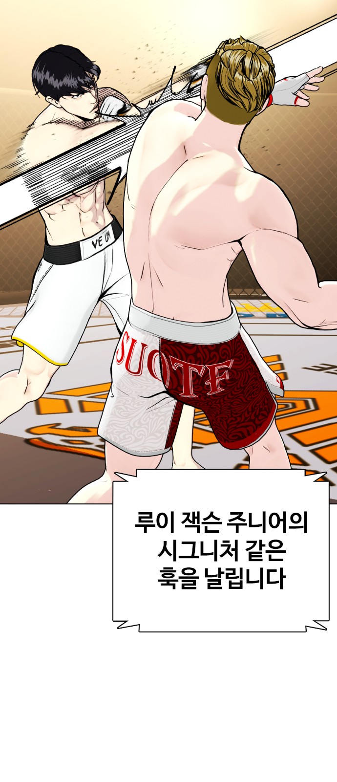 49 페이지