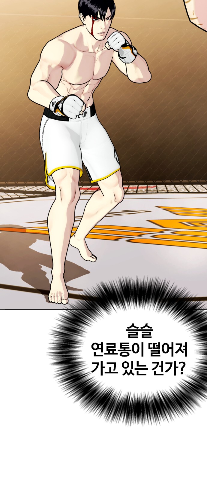 19 페이지
