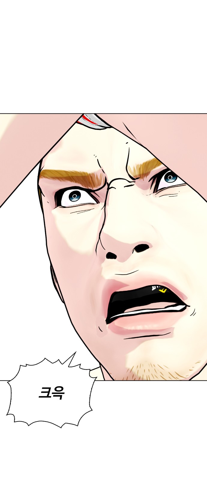 42 페이지