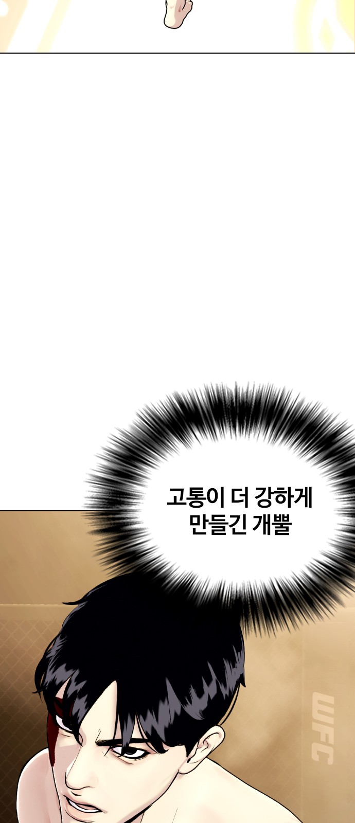 50 페이지