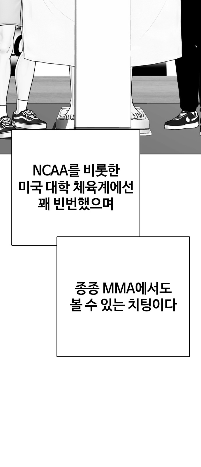 113 페이지