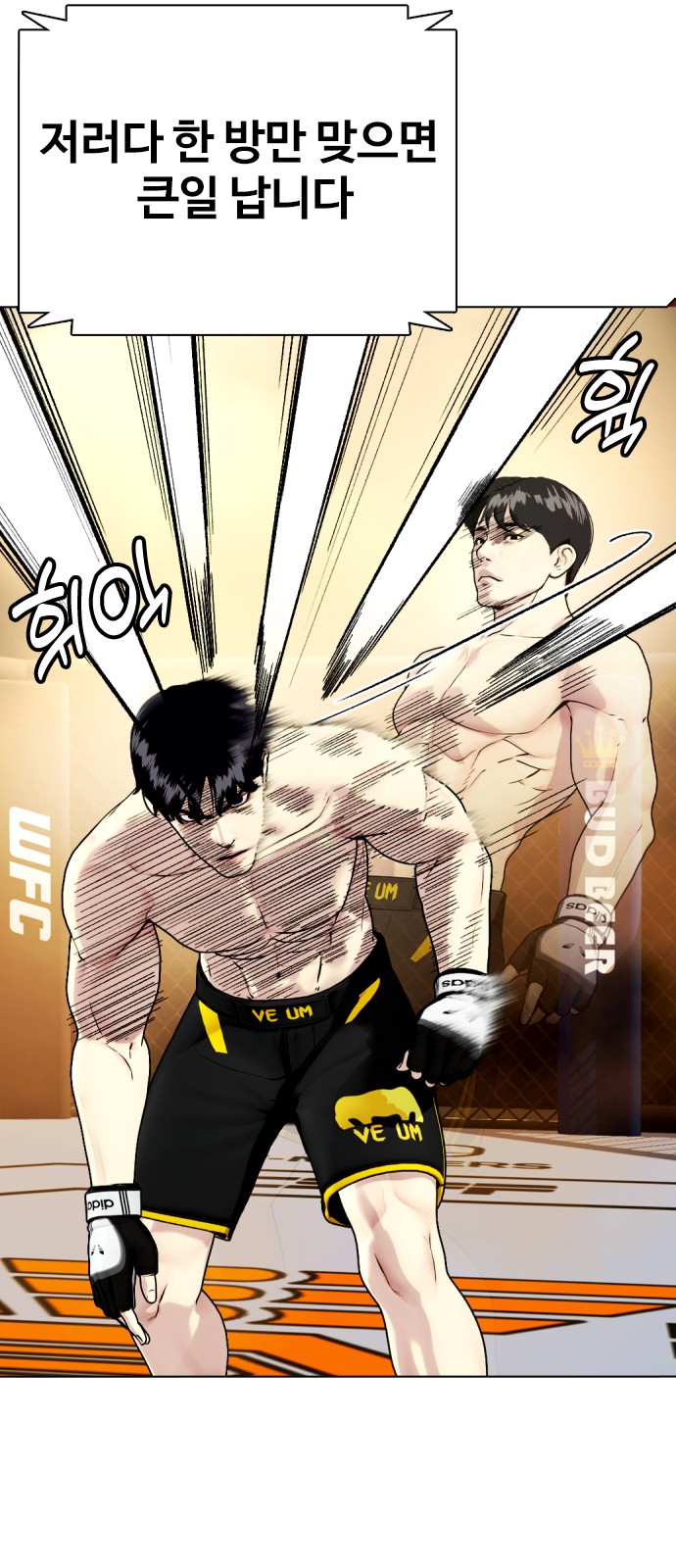 43 페이지