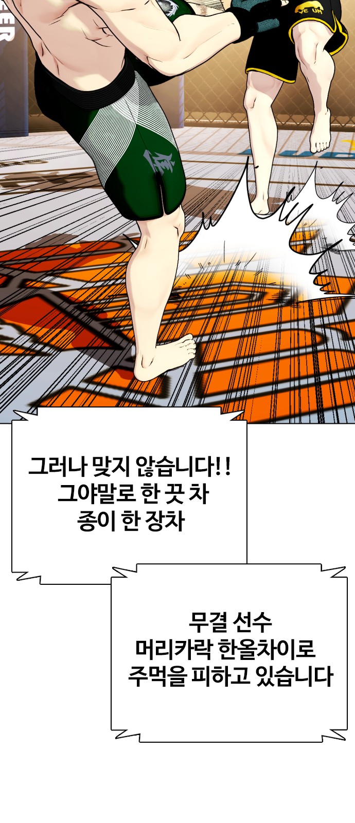 48 페이지