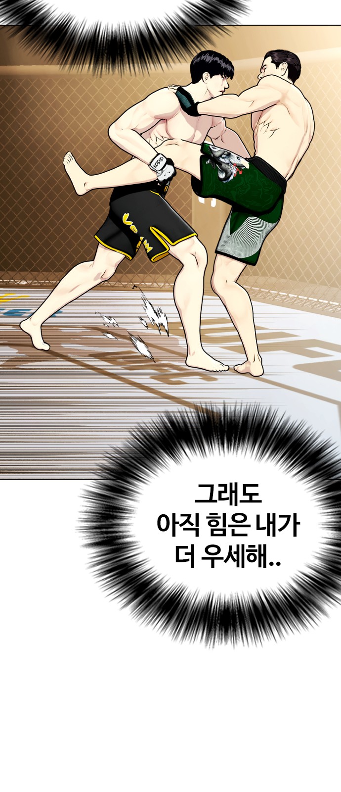 95 페이지