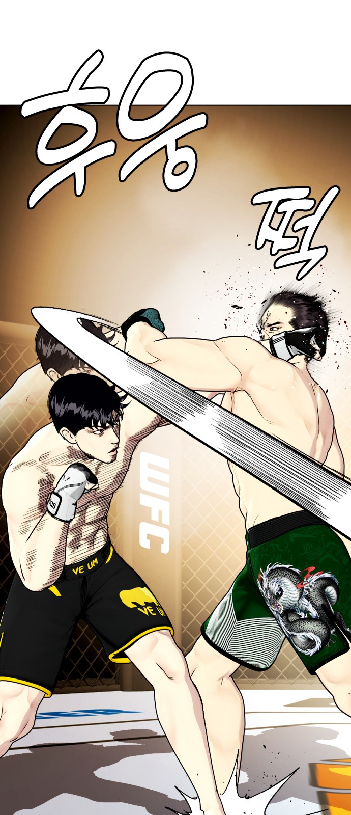 17 페이지