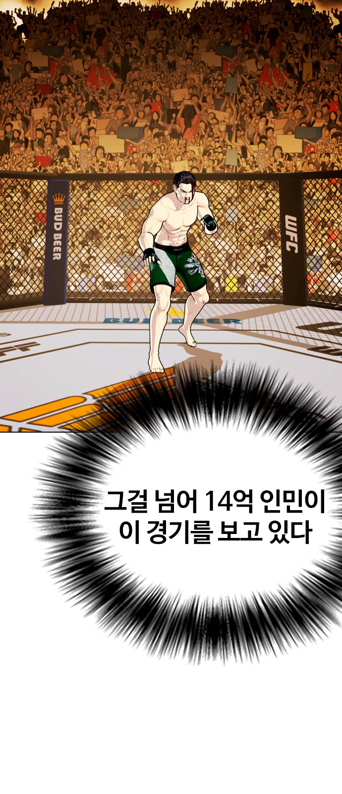 48 페이지