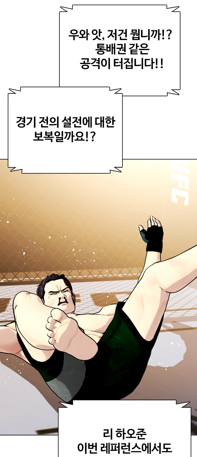 68 페이지