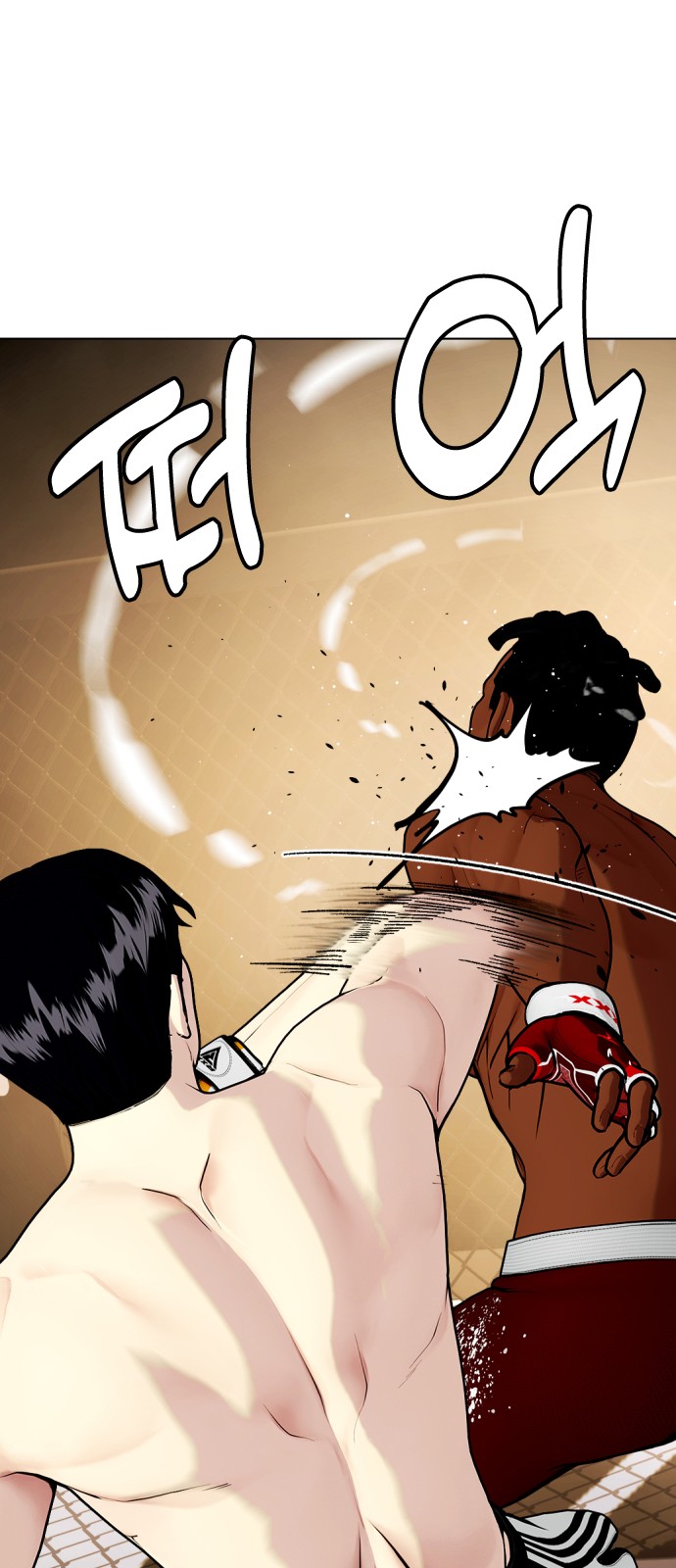 113 페이지