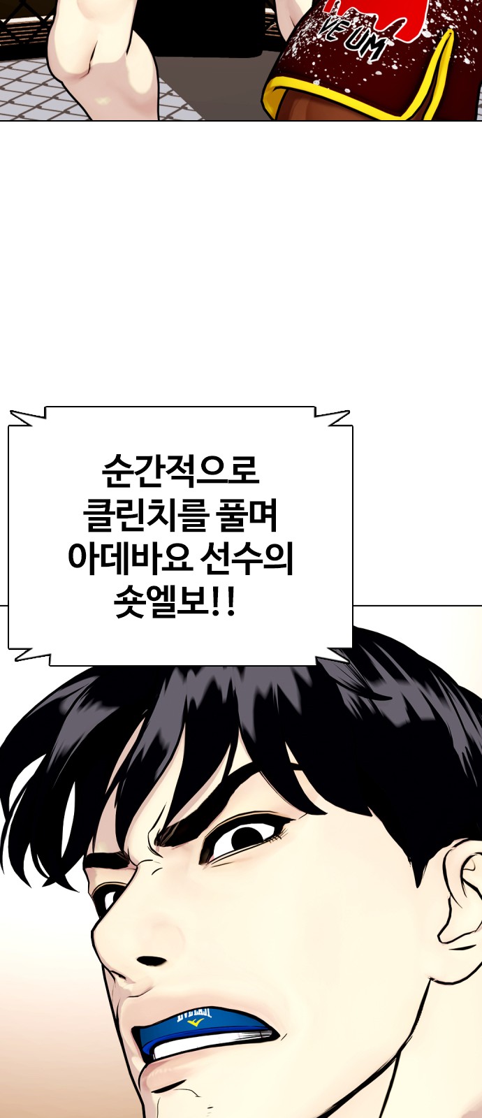 44 페이지